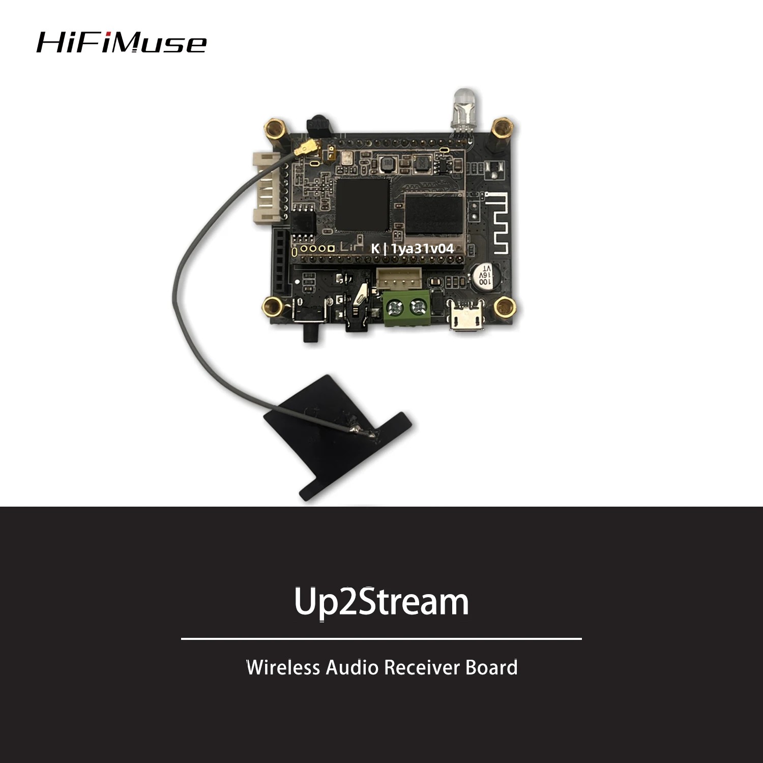 Microphone Module - D10 WiFi e Bluetooth 5.0 Ricevere